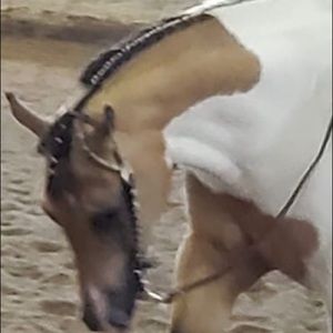 Meet your Posher, Patty